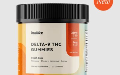 Delta 9 THC Gummies &ndash; 5mg Beach Buzz &ndash; Budder