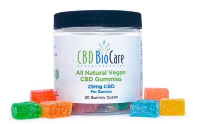 All Natural 25mg CBD Gummies