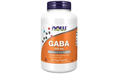 NOW Supplements, GABA 500mg + B-6 Capsules Review