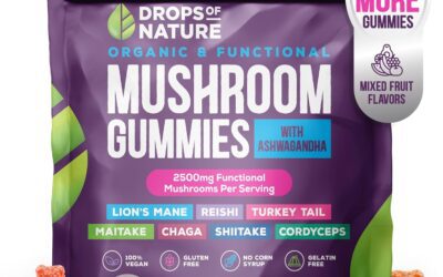 Lions Mane Mushroom Supplement Gummies Review