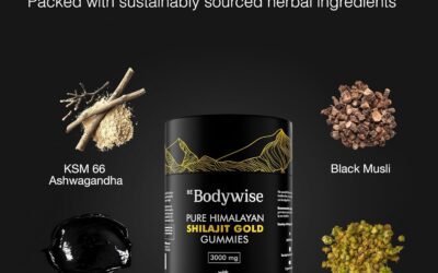 Pure Himalayan Shilajit Gummies