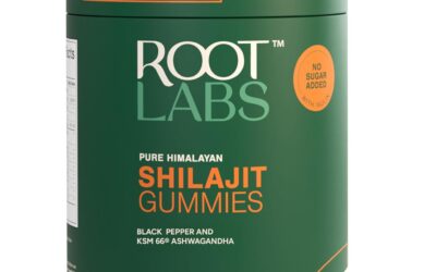 4000 mg Pure Himalayan Shilajit Gummies Review